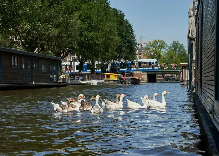 The Houseboat Family - De Pijp 암스테르담